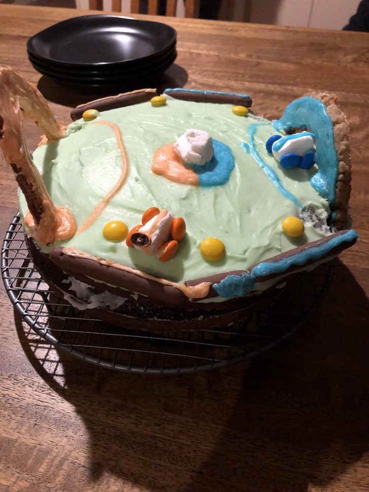 14 Year Old Birthday Cake My Birthday Cake From My 14 Year Old Brother Rocketleague 14 Year Old Birthday Cake My Birthday Cake From My 14 Year Old Brother Rocketleague