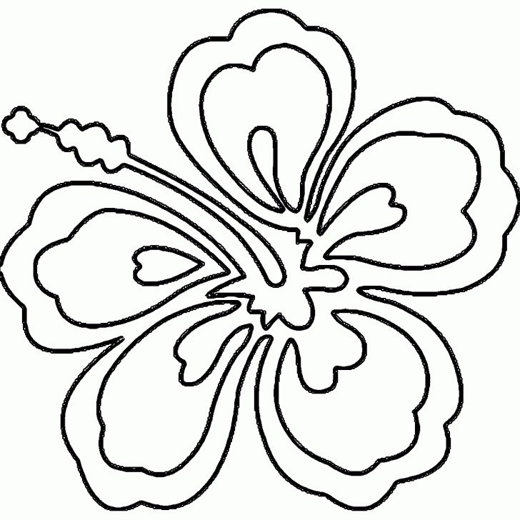 Az Coloring Pages Hawaiian Coloring Pages Hawaii Flower Coloring Page Az Coloring Az Coloring Pages Hawaiian Coloring Pages Hawaii Flower Coloring Page Az Coloring