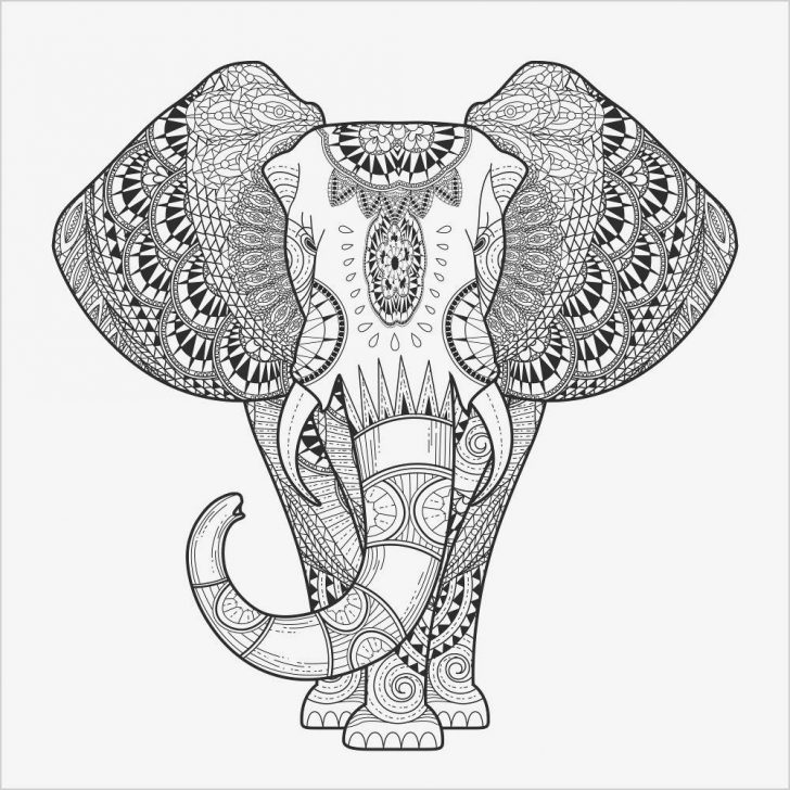 Animal Mandala Coloring Pages 20 Stunning Animal Mandala Coloring Pages For Children S Animal Mandala Coloring Pages 20 Stunning Animal Mandala Coloring Pages For Children S