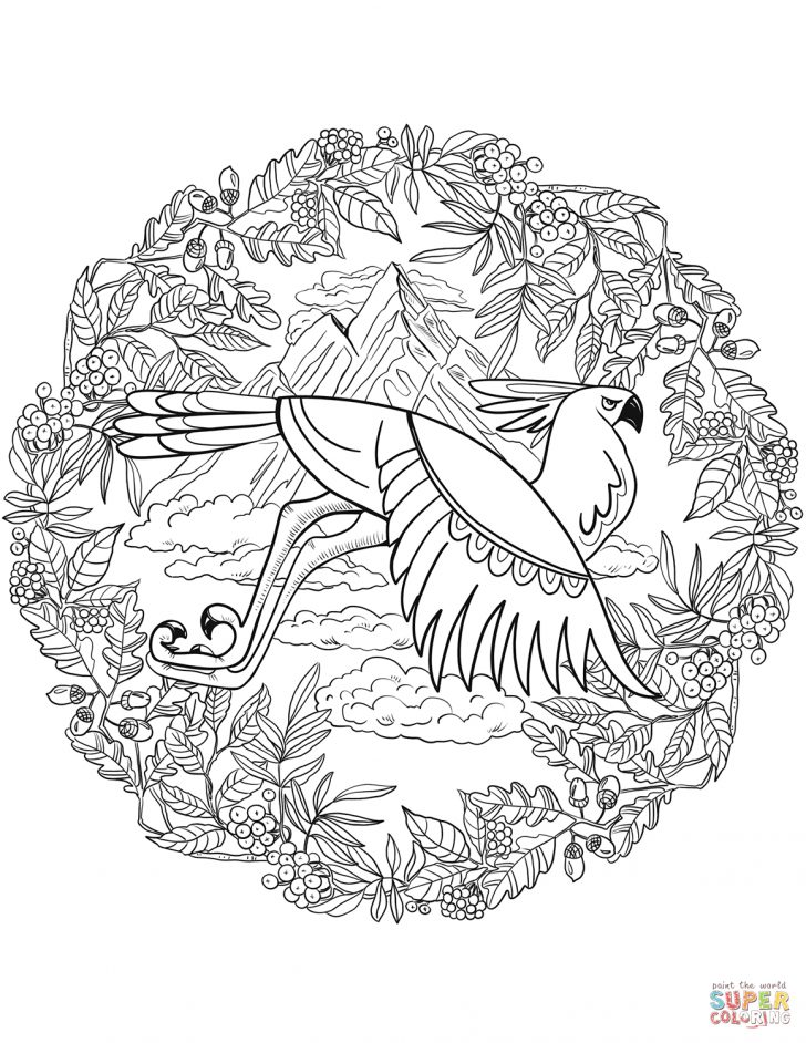 Animal Mandala Coloring Pages Animal Mandalas Coloring Pages Free Coloring Pages Animal Mandala Coloring Pages Animal Mandalas Coloring Pages Free Coloring Pages