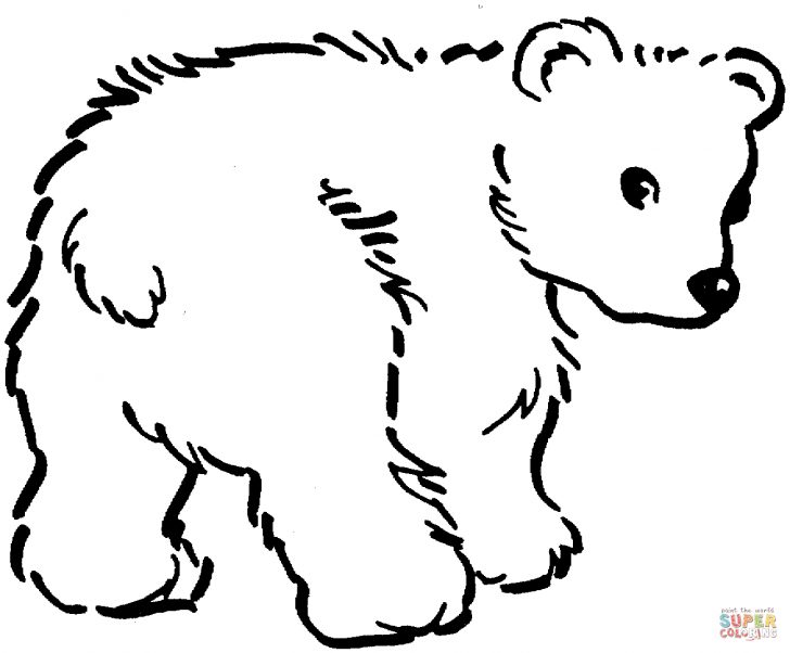 Bear Coloring Pages Bear Coloring Pages Brown Bears Free 13321102 Attachment Bear Coloring Pages Bear Coloring Pages Brown Bears Free 13321102 Attachment
