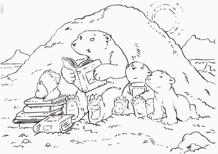 Bear Coloring Pages Bear Coloring Pages Free Printable Polar For Kids 16981204 Bear Coloring Pages Bear Coloring Pages Free Printable Polar For Kids 16981204