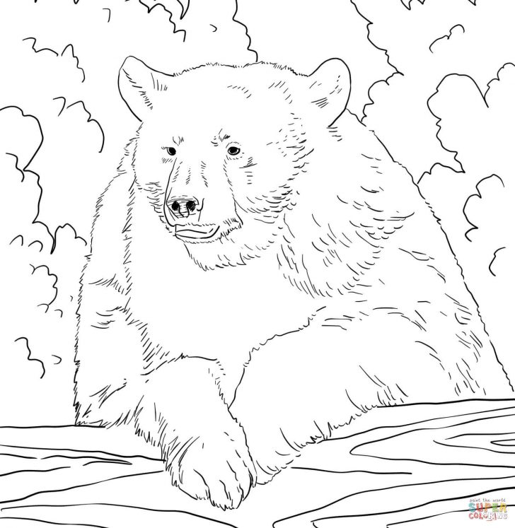 Bear Coloring Pages Bears Coloring Pages Free Coloring Pages Bear Coloring Pages Bears Coloring Pages Free Coloring Pages