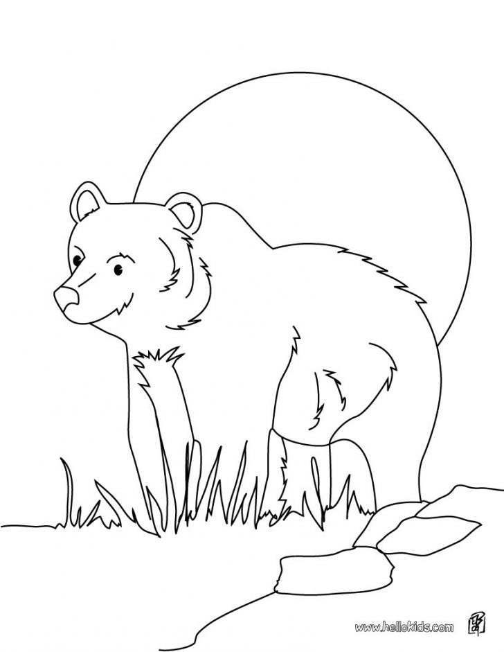 Bear Coloring Pages Grizzly Bear Coloring Pages Hellokids Bear Coloring Pages Grizzly Bear Coloring Pages Hellokids