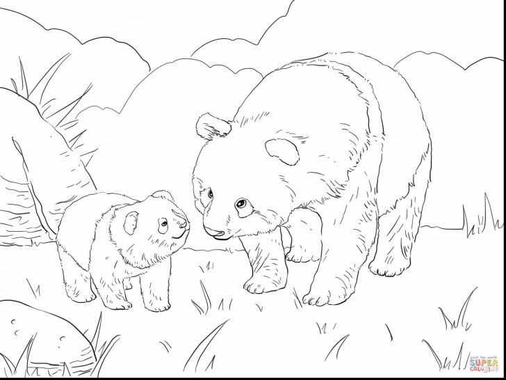 Bear Coloring Pages Unique Panda Bear Coloring Pages Attractive Giant Page Free Bear Coloring Pages Unique Panda Bear Coloring Pages Attractive Giant Page Free