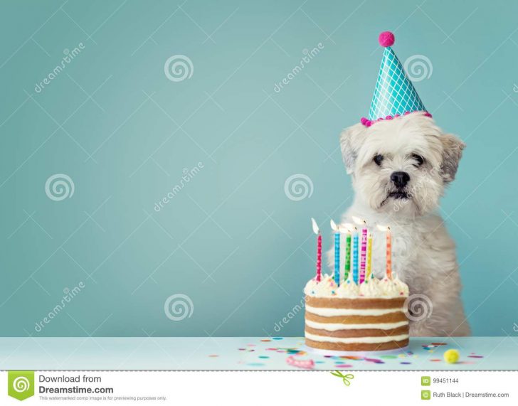 Birthday Cake Pic Download Birthday Cake Stock Images Download 142966 Photos Birthday Cake Pic Download Birthday Cake Stock Images Download 142966 Photos