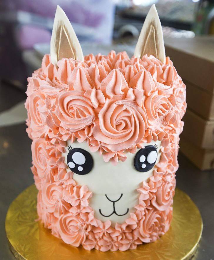 Cakes For Birthday Llama Cake 217 Kids Birthday Cakes Pinterest Cake Cake Cakes For Birthday Llama Cake 217 Kids Birthday Cakes Pinterest Cake Cake