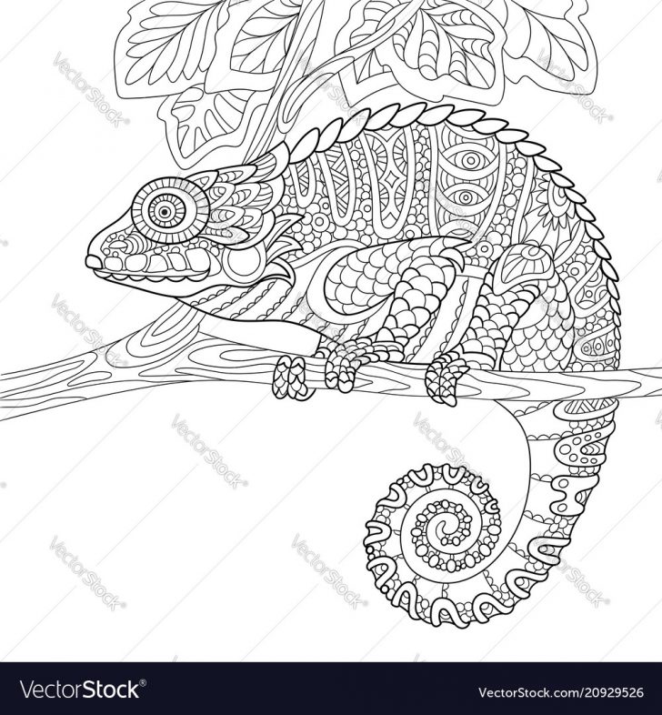Chameleon Coloring Page Chameleon Coloring Page Royalty Free Vector Image Chameleon Coloring Page Chameleon Coloring Page Royalty Free Vector Image