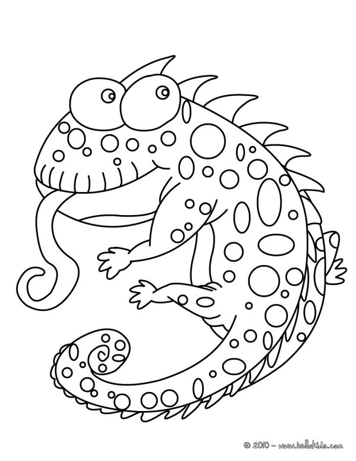 Chameleon Coloring Page Chameleon Coloring Pages 7 Free Reptiles Coloring Pages Online Chameleon Coloring Page Chameleon Coloring Pages 7 Free Reptiles Coloring Pages Online