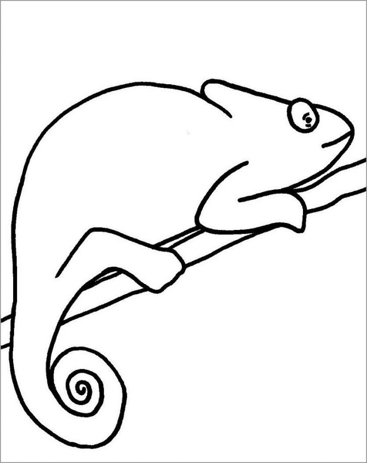 Chameleon Coloring Page Chameleon Coloring Pages Coloringbay Chameleon Coloring Page Chameleon Coloring Pages Coloringbay