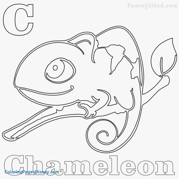 Chameleon Coloring Page Chameleon Coloring Pages Printable At Getdrawings Free For Chameleon Coloring Page Chameleon Coloring Pages Printable At Getdrawings Free For