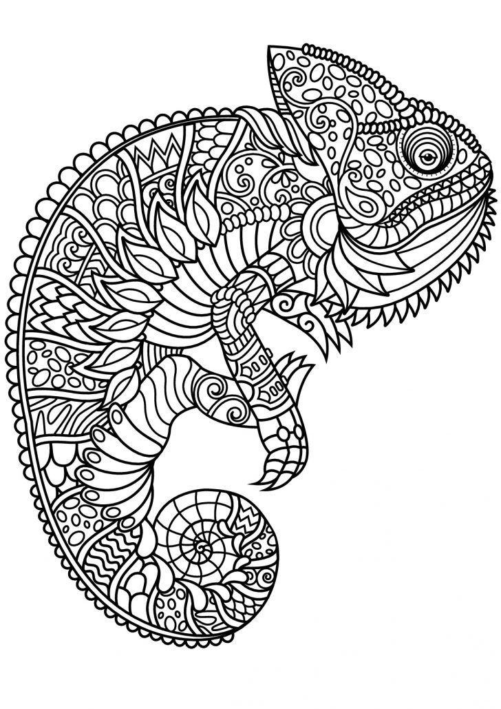 Chameleon Coloring Page Free Book Chameleon Chameleons Lizards Adult Coloring Pages Chameleon Coloring Page Free Book Chameleon Chameleons Lizards Adult Coloring Pages