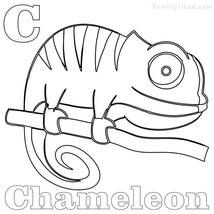 Chameleon Coloring Page Gerbil Coloring Pages Chameleon Coloring Page Gerbil Coloring Pages