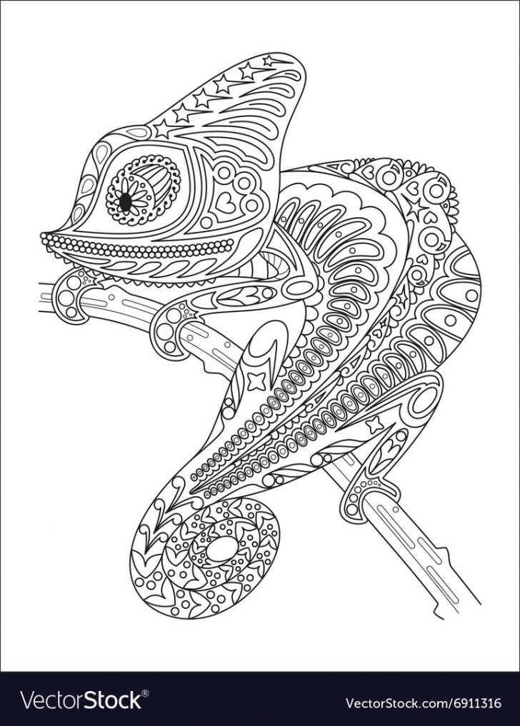 Chameleon Coloring Page Monochrome Chameleon Coloring Page Black Over Vector Image Chameleon Coloring Page Monochrome Chameleon Coloring Page Black Over Vector Image