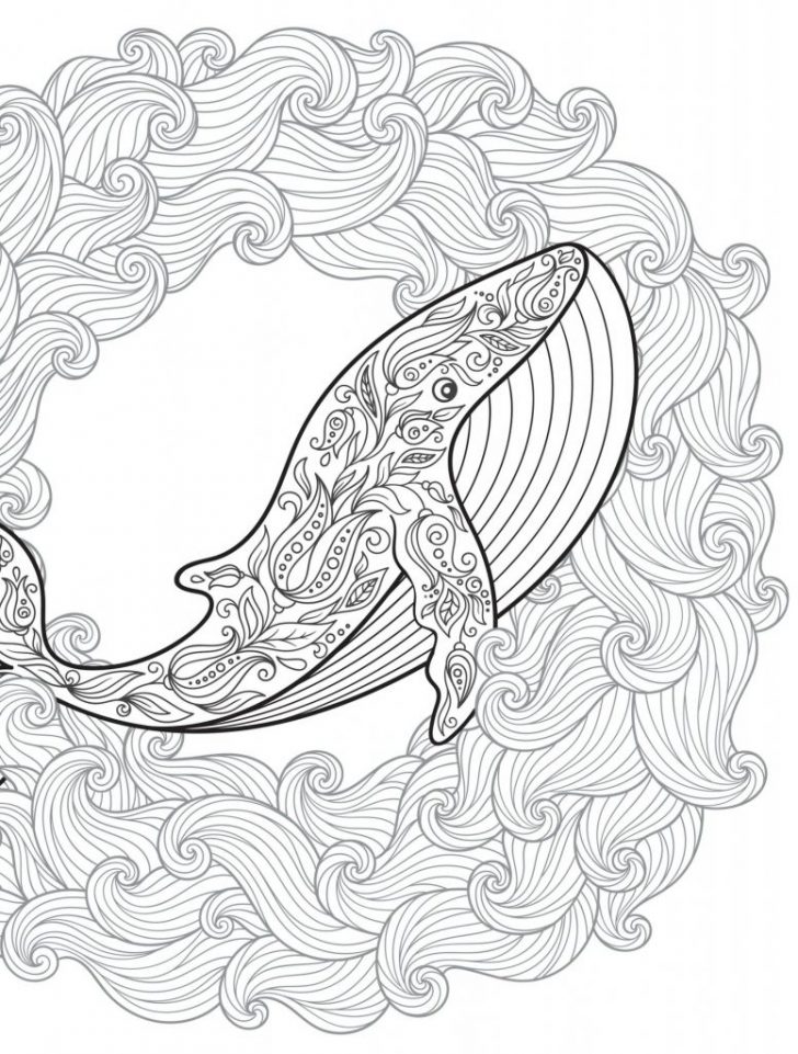 Chameleon Coloring Page The Mixed Up Chameleon Coloring Page Elegant 18 Absurdly Whimsical Chameleon Coloring Page The Mixed Up Chameleon Coloring Page Elegant 18 Absurdly Whimsical