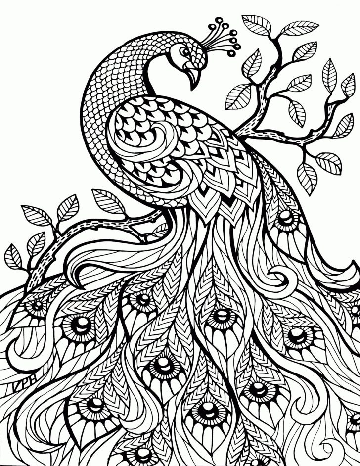 Chameleon Coloring Page The Mixed Up Chameleon Coloring Page New Adult Stress Relief Chameleon Coloring Page The Mixed Up Chameleon Coloring Page New Adult Stress Relief
