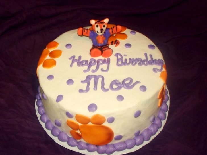 Clemson Birthday Cake Clemson Tigers Fan Birthday Cake Cakecentral Clemson Birthday Cake Clemson Tigers Fan Birthday Cake Cakecentral