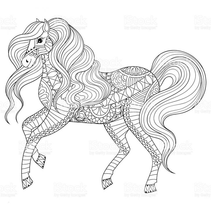 Coloring Pages Horses Adult Coloring Pages Horse Lovely Hand Drawn For Page Art Therapy Coloring Pages Horses Adult Coloring Pages Horse Lovely Hand Drawn For Page Art Therapy