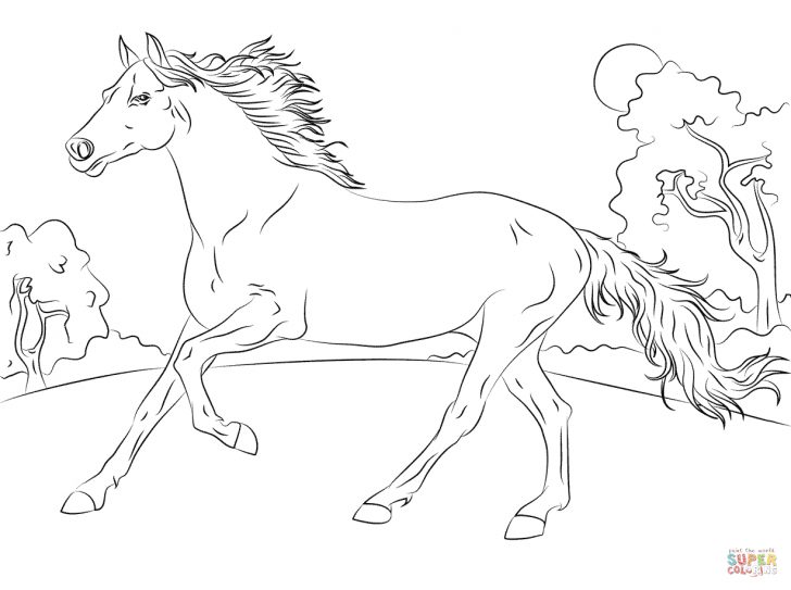 Coloring Pages Horses Horses Coloring Pages Free Coloring Pages Coloring Pages Horses Horses Coloring Pages Free Coloring Pages
