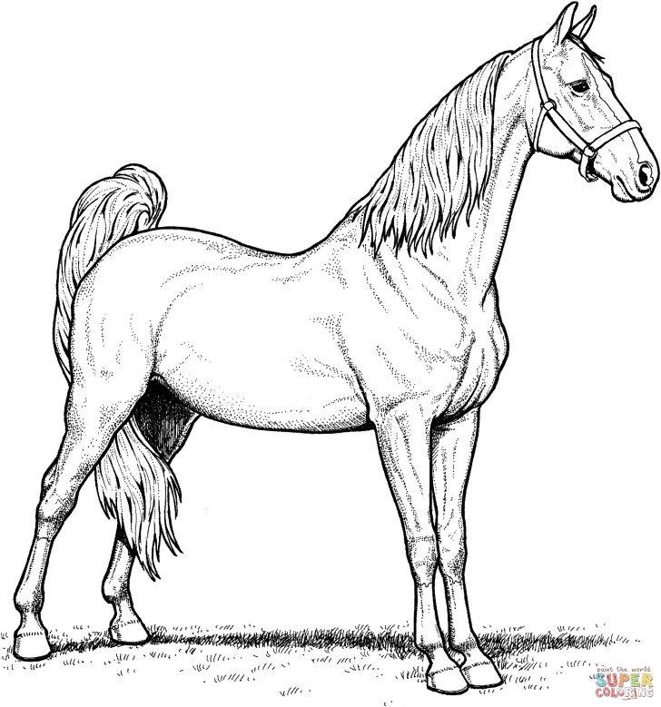 Coloring Pages Horses Spirit Horse Coloring Pages Awesome Coloring Pages Horses Free Coloring Pages Horses Spirit Horse Coloring Pages Awesome Coloring Pages Horses Free