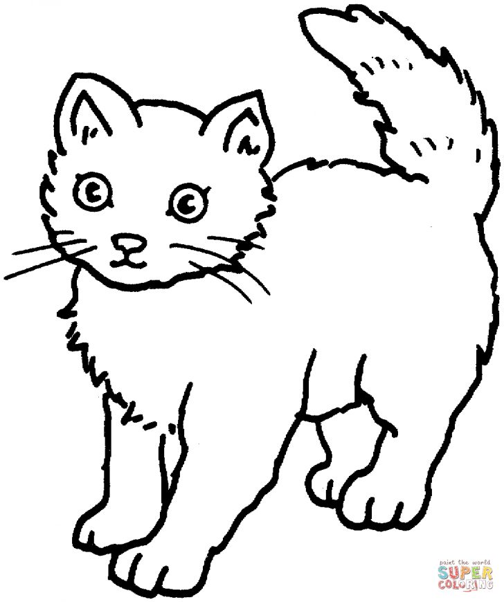Coloring Pages Of Cats Cats Coloring Pages Free Coloring Pages Coloring Pages Of Cats Cats Coloring Pages Free Coloring Pages
