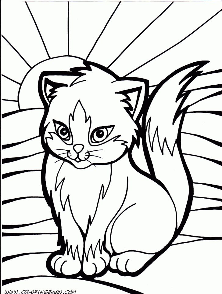 Coloring Pages Of Cats Coloring Pages Cats Cat Color Printable Kitten 10001321 Attachment Coloring Pages Of Cats Coloring Pages Cats Cat Color Printable Kitten 10001321 Attachment