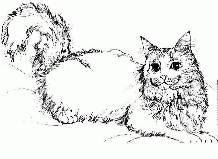 Coloring Pages Of Cats Cute Cats Coloring Pages Cat Printable Free 8261169 Attachments Coloring Pages Of Cats Cute Cats Coloring Pages Cat Printable Free 8261169 Attachments