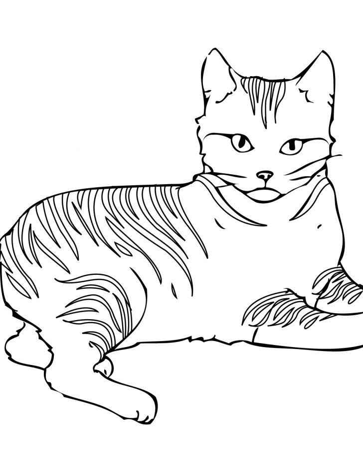 Coloring Pages Of Cats Free Printable Cat Coloring Pages For Kids Coloring Pages Of Cats Free Printable Cat Coloring Pages For Kids