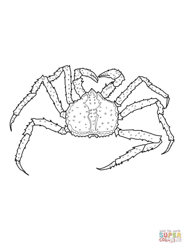 Crab Coloring Pages Crabs Coloring Pages Free Coloring Pages Crab Coloring Pages Crabs Coloring Pages Free Coloring Pages