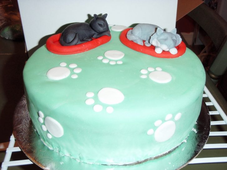Creative Birthday Cakes Cat Lovers For Birthday Cakes Wedding Academy Creative Birthday Creative Birthday Cakes Cat Lovers For Birthday Cakes Wedding Academy Creative Birthday