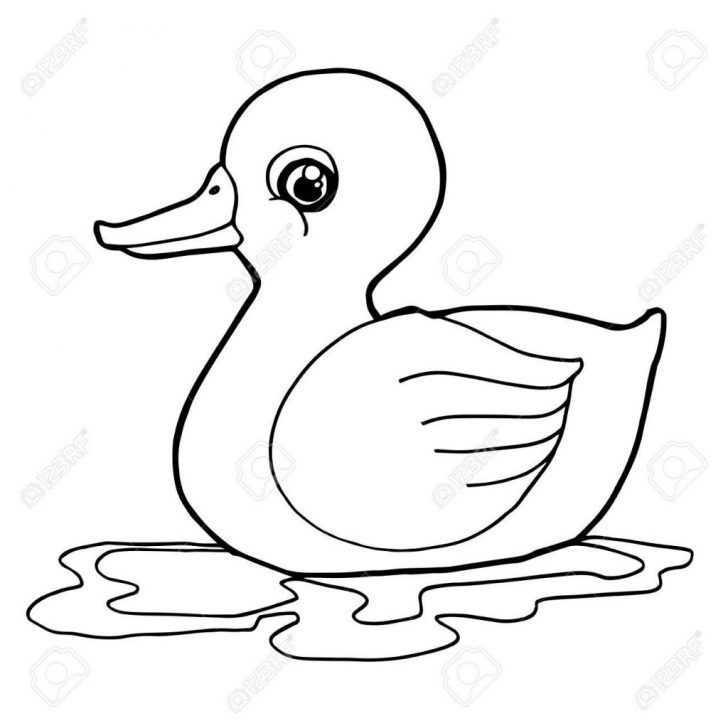 Daisy Duck Coloring Pages Coloring Pages Cute Donald Duck Coloring Pages For Kids Free Daisy Duck Coloring Pages Coloring Pages Cute Donald Duck Coloring Pages For Kids Free