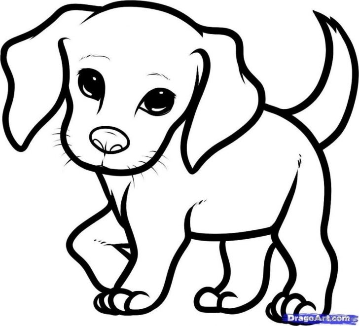 Dog Coloring Pages For Adults Cute Puppy Colouring Pages Dog Coloring Impressive 1024930 Picture Dog Coloring Pages For Adults Cute Puppy Colouring Pages Dog Coloring Impressive 1024930 Picture