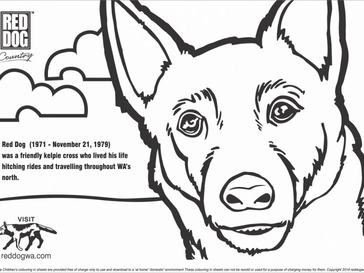 Dog Coloring Pages For Adults Sensational Dog Colouring Images Hot Coloring Pictures Pdf For Dog Coloring Pages For Adults Sensational Dog Colouring Images Hot Coloring Pictures Pdf For