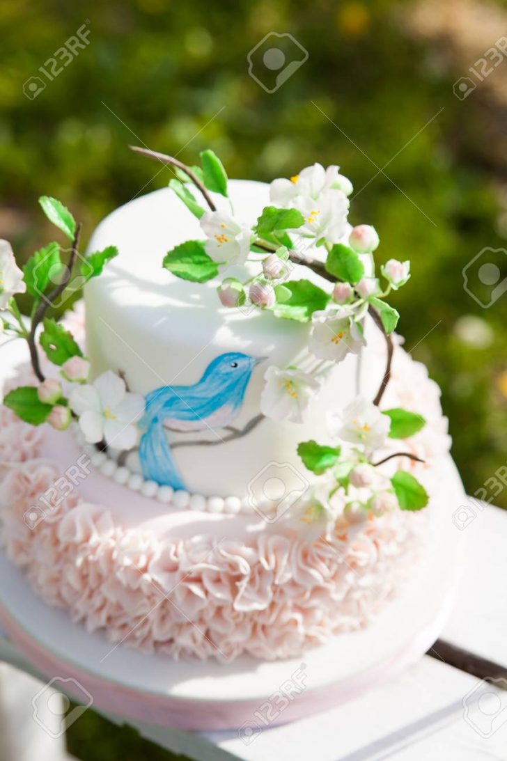 Elegant Birthday Cakes Elegant Wedding Or Birthday Cake Decorated With Pink Ruches And Elegant Birthday Cakes Elegant Wedding Or Birthday Cake Decorated With Pink Ruches And