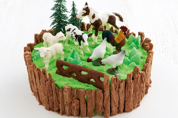 Farm Birthday Cake Farmyard Cake Farm Birthday Cake Farmyard Cake