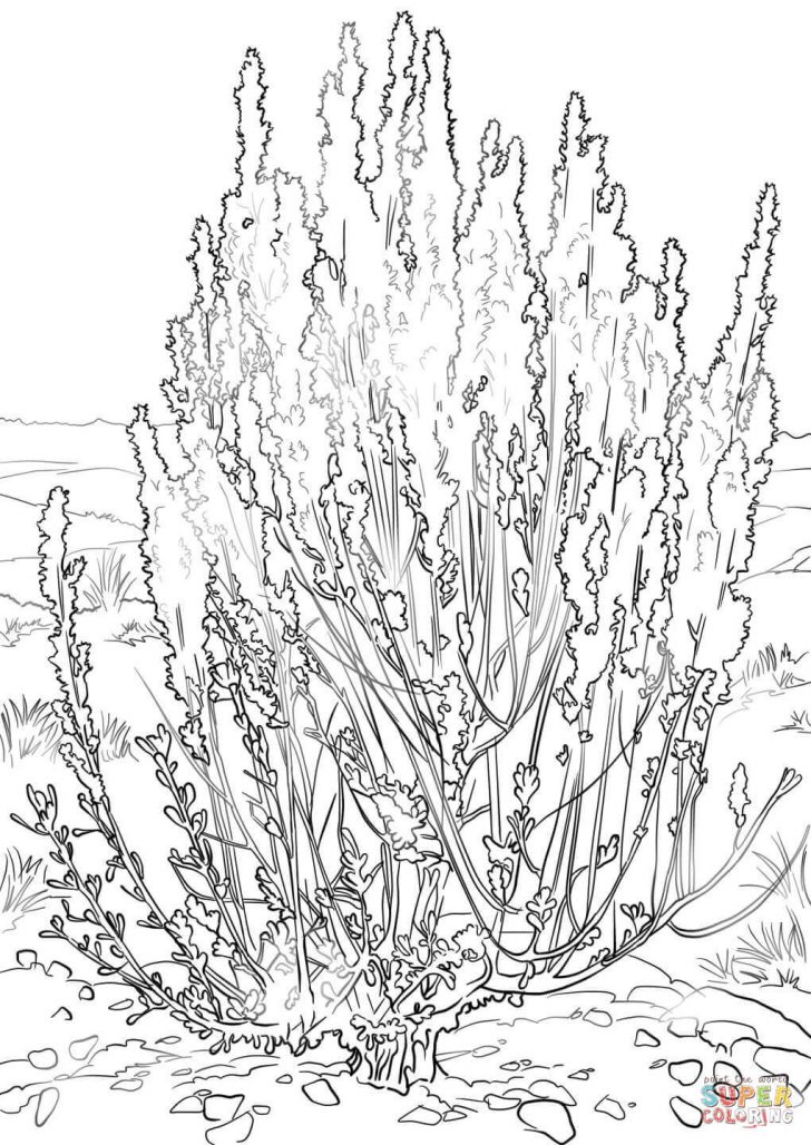 Grass Coloring Page Coloring Pages Of Trees And Grass Printable Coloring Pages For Kids Grass Coloring Page Coloring Pages Of Trees And Grass Printable Coloring Pages For Kids