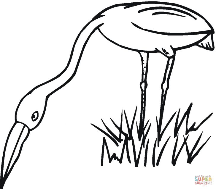 Grass Coloring Page Grass Coloring Page Ultra Pages And Bitslice Grass Coloring Page Grass Coloring Page Ultra Pages And Bitslice
