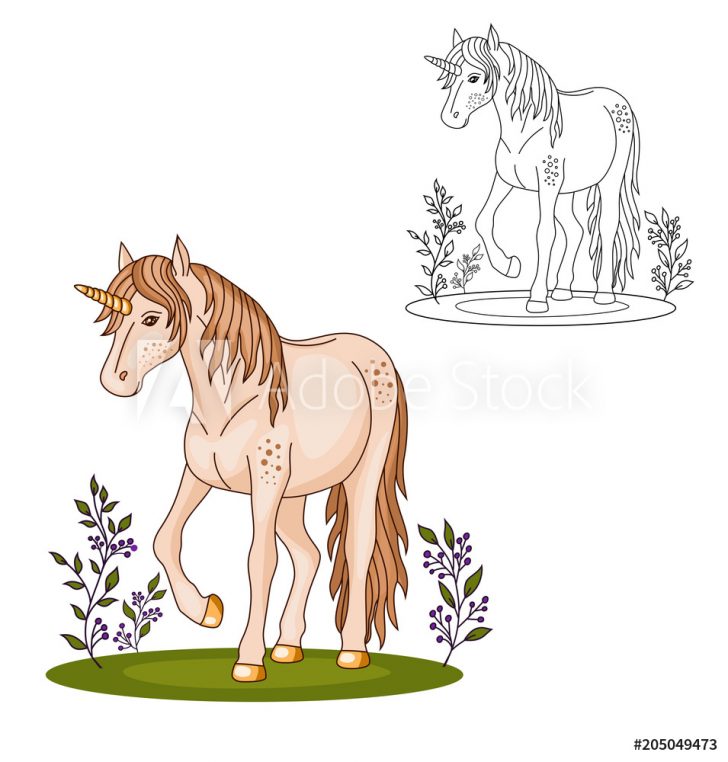 Grass Coloring Page Photo Art Print Coloring Page Beautiful Cute Unicorn On The Grass Grass Coloring Page Photo Art Print Coloring Page Beautiful Cute Unicorn On The Grass