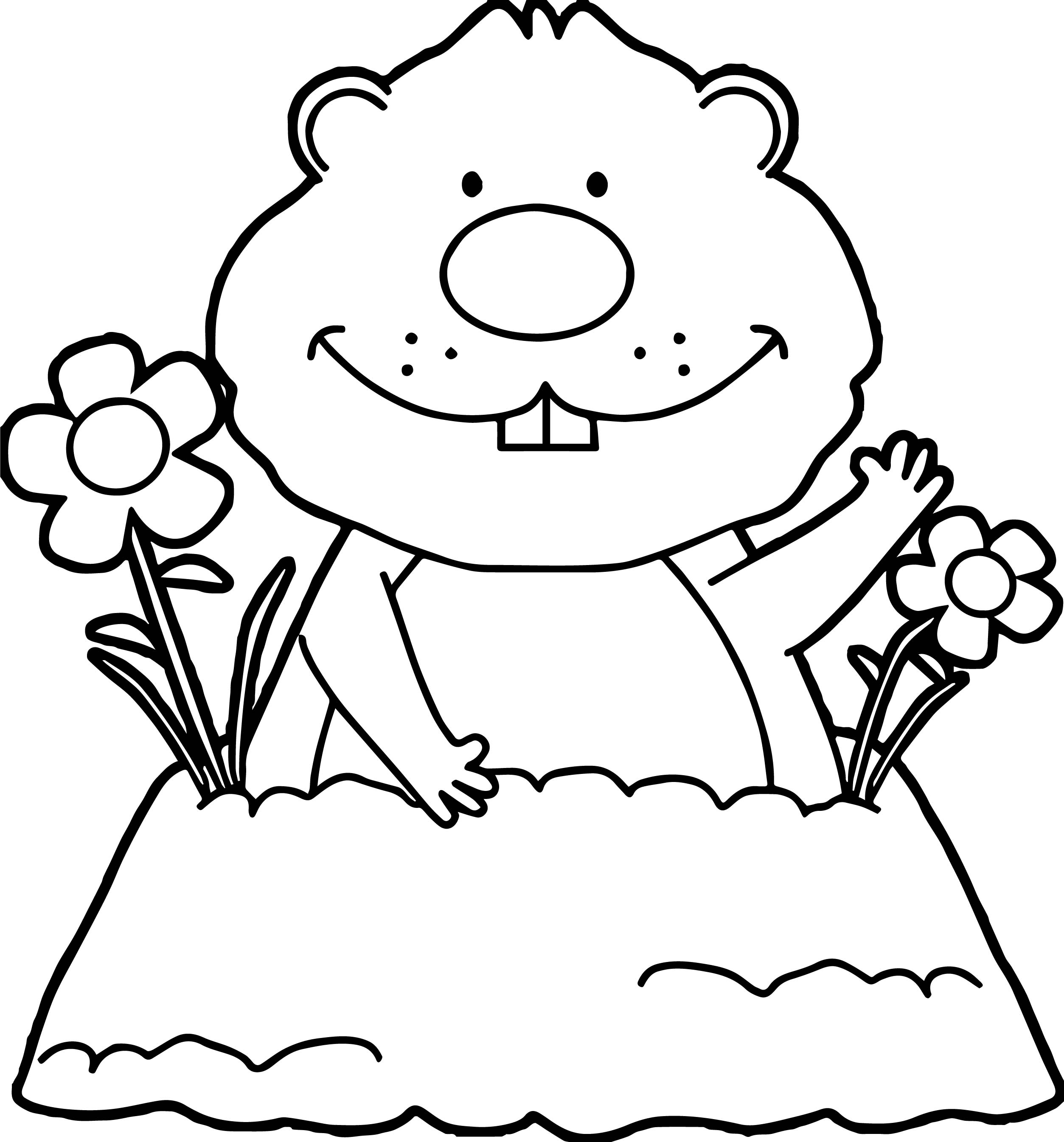 25+ Wonderful Image of Groundhog Coloring Page - entitlementtrap.com