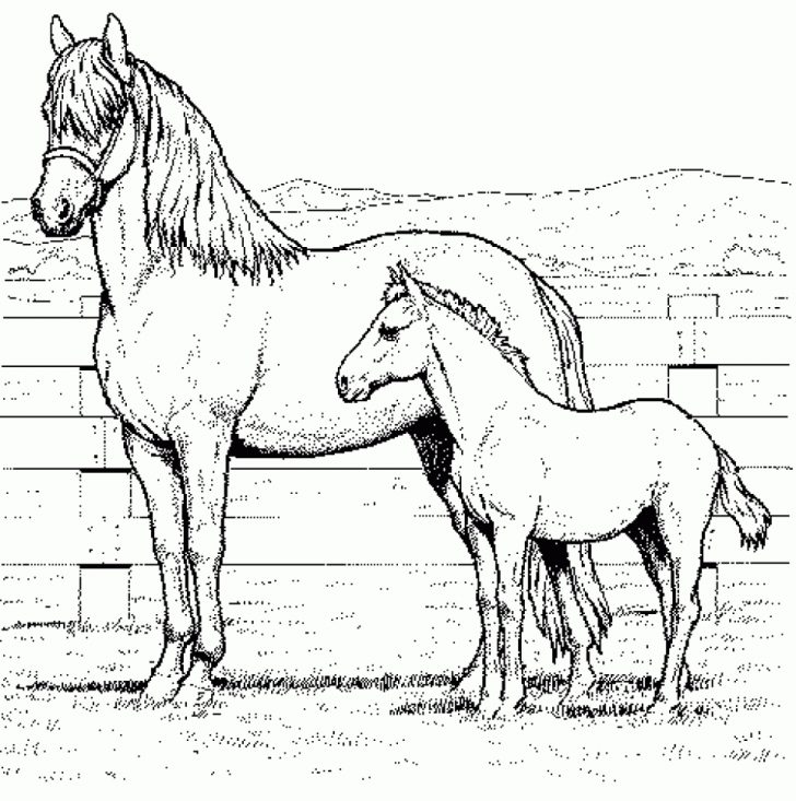 Horse Coloring Page Coloring Page Incredible Printable Horse Coloring Pages Horse Coloring Page Coloring Page Incredible Printable Horse Coloring Pages