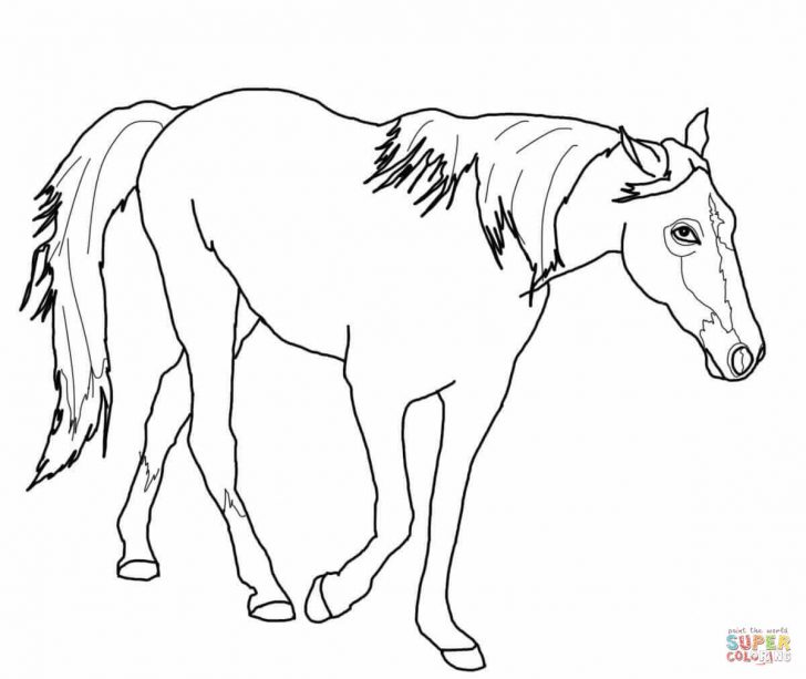 Horse Coloring Page Friesian Horse Coloring Page Free Printable Coloring Pages Horse Coloring Page Friesian Horse Coloring Page Free Printable Coloring Pages