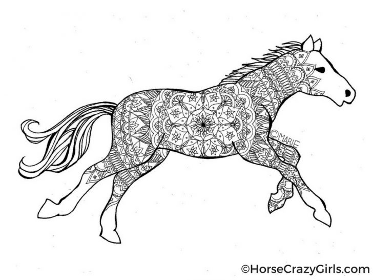 Horse Coloring Page Horse Coloring Pages And Printables Horse Coloring Page Horse Coloring Pages And Printables