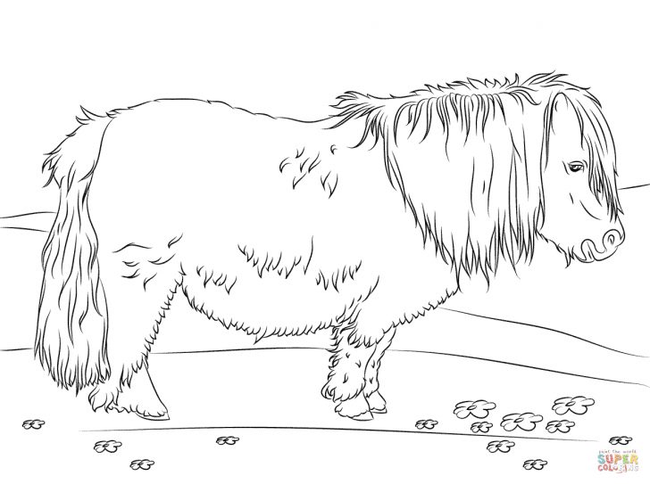 Horse Coloring Page Horses Coloring Pages Free Coloring Pages Horse Coloring Page Horses Coloring Pages Free Coloring Pages