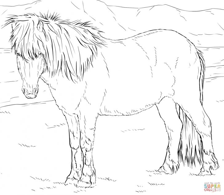 Horse Coloring Page Horses Coloring Pages Free Coloring Pages Horse Coloring Page Horses Coloring Pages Free Coloring Pages