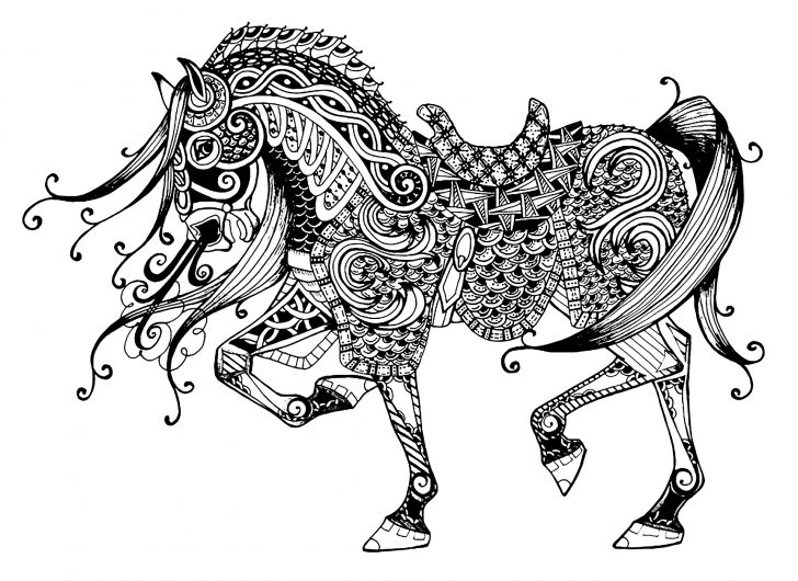 Horse Coloring Page Majestic Horse Horses Adult Coloring Pages Horse Coloring Page Majestic Horse Horses Adult Coloring Pages