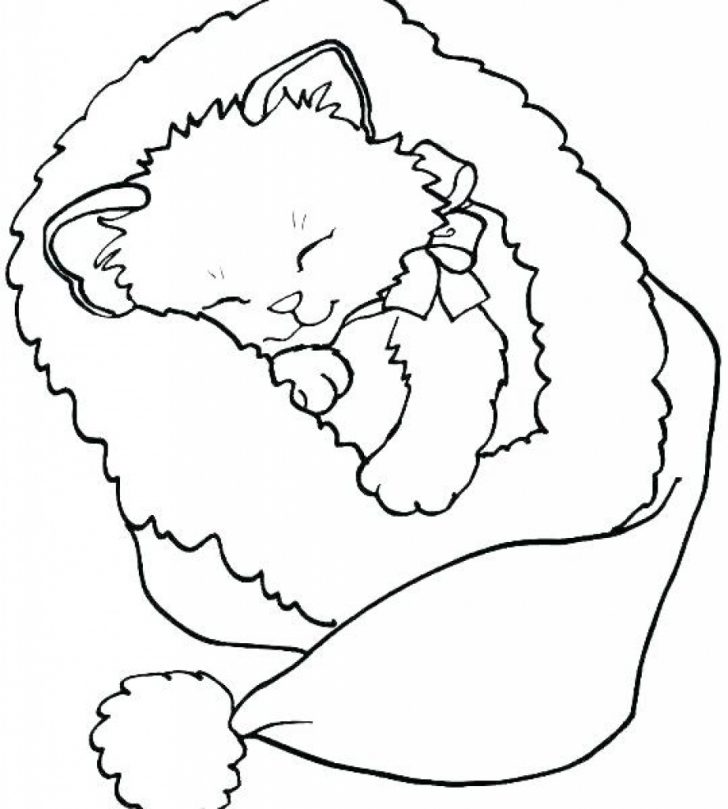 Kittens Coloring Pages Coloring Pages Puppy And Kitten Coloring Pages Printable Kittens Kittens Coloring Pages Coloring Pages Puppy And Kitten Coloring Pages Printable Kittens