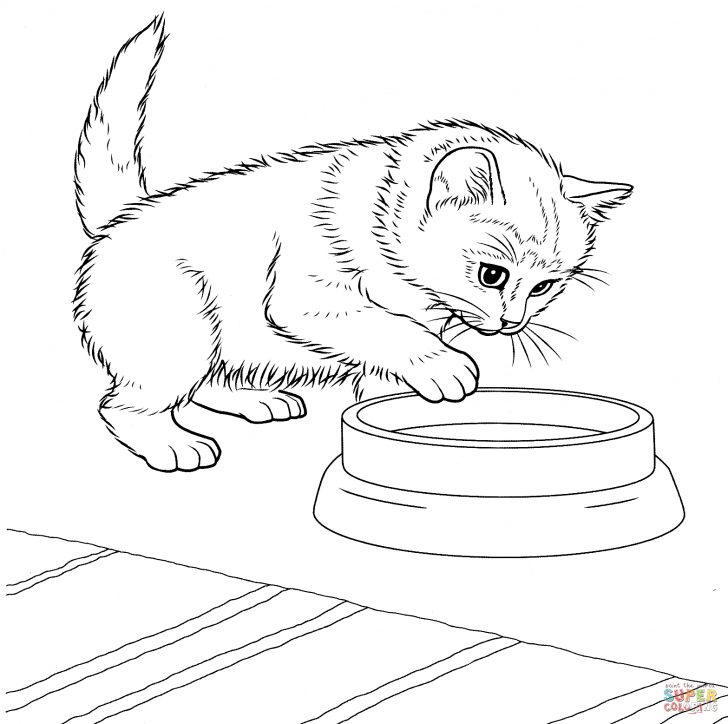 Kittens Coloring Pages Javanese Kitten Coloring Page Free Printable Coloring Pages Kittens Coloring Pages Javanese Kitten Coloring Page Free Printable Coloring Pages