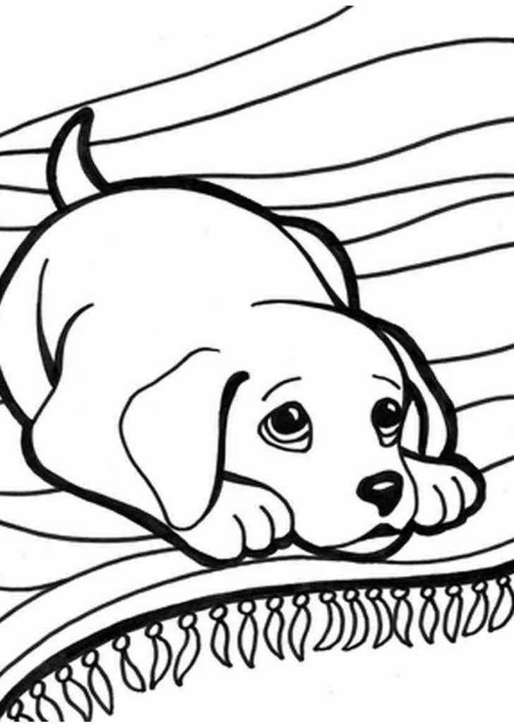 Kittens Coloring Pages Puppy And Kitten Coloring Pages 17 Puppies Kittens To Magnificent Kittens Coloring Pages Puppy And Kitten Coloring Pages 17 Puppies Kittens To Magnificent