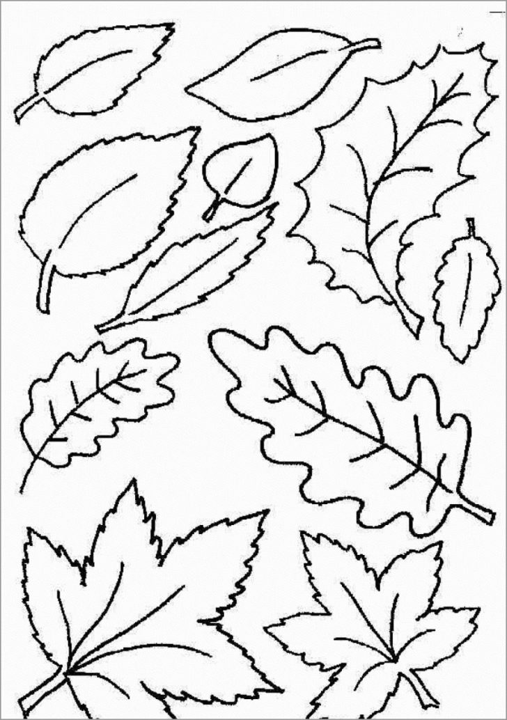 Leaf Coloring Page Coloring Pages Autumn Leaves Coloring Pages Page Freeable Awesome Leaf Coloring Page Coloring Pages Autumn Leaves Coloring Pages Page Freeable Awesome