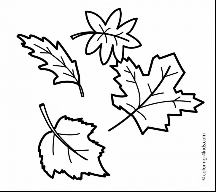 Leaf Coloring Page Fall Leaves Coloring Pages Wpvote Leaf Coloring Page Fall Leaves Coloring Pages Wpvote